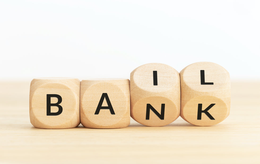 Beyond Bailouts: How Governments Can Prevent Banking Crises