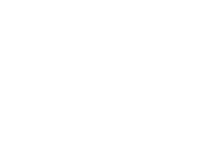 DigitalinsiderAI logo